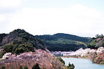 安岐ダム公園の画像