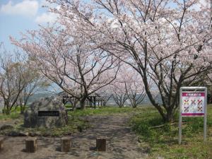 小城展望公園の桜