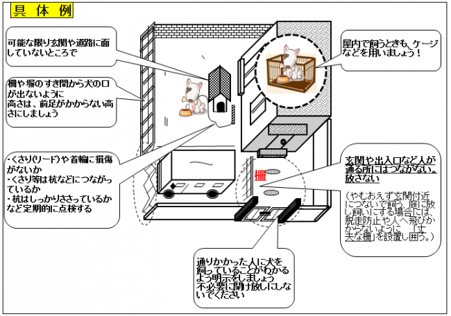 犬の飼い方具体例