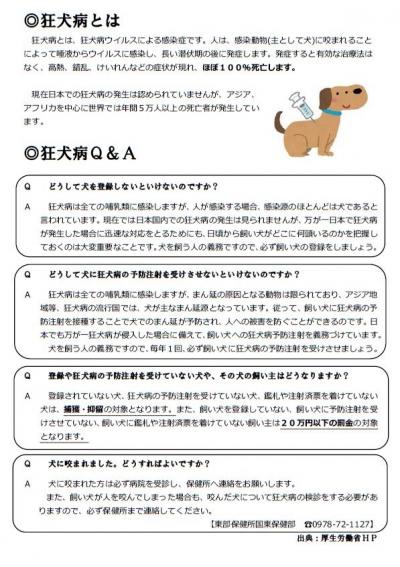 狂犬病予防注射のお知らせチラシ画像裏