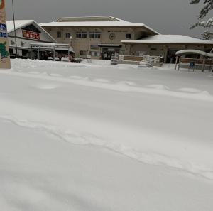 道の駅くにさき前の大雪の様子の画像