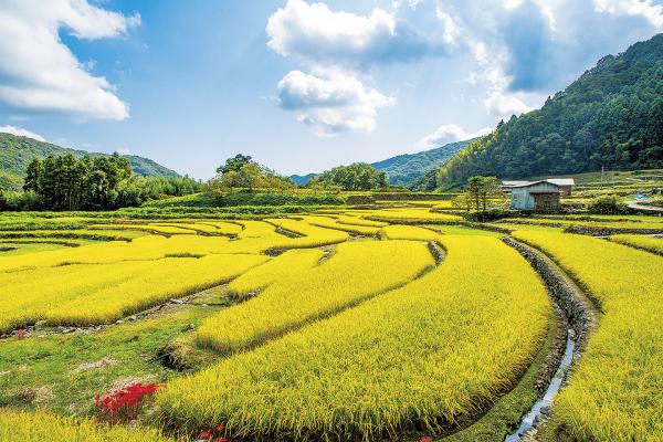 9月下旬～10月上旬の景色