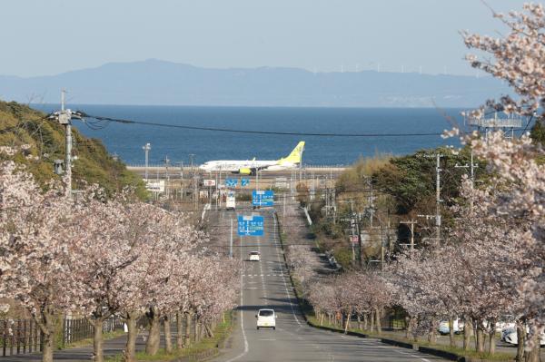 空港桜坂