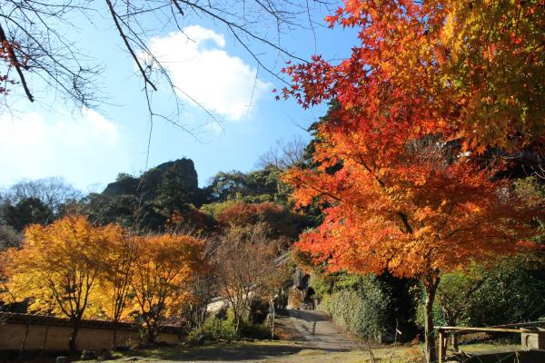 文殊仙寺の紅葉の画像