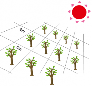 植栽イメージ図