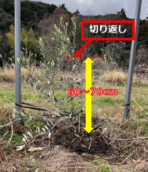 切り返し