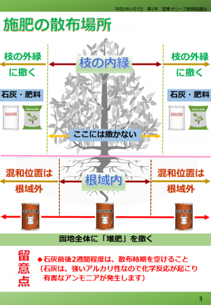 施肥の散布場所
