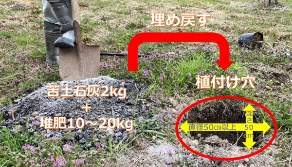 植付け穴の写真