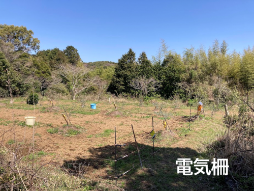 電気柵