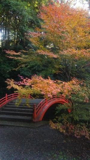 紅葉のイメージ画像（両子寺）