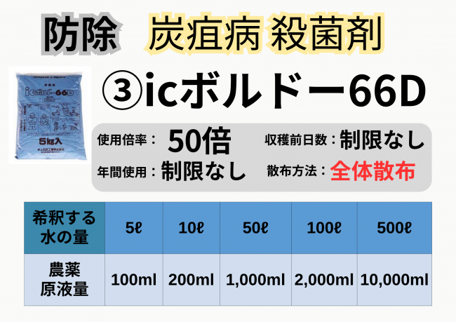icボルドー66D