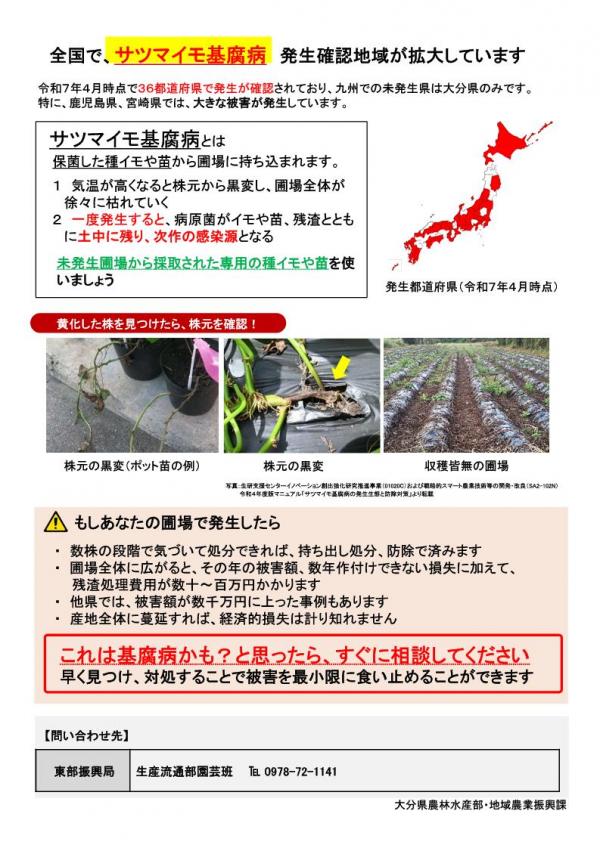 さつまいも基腐病注意喚起チラシ