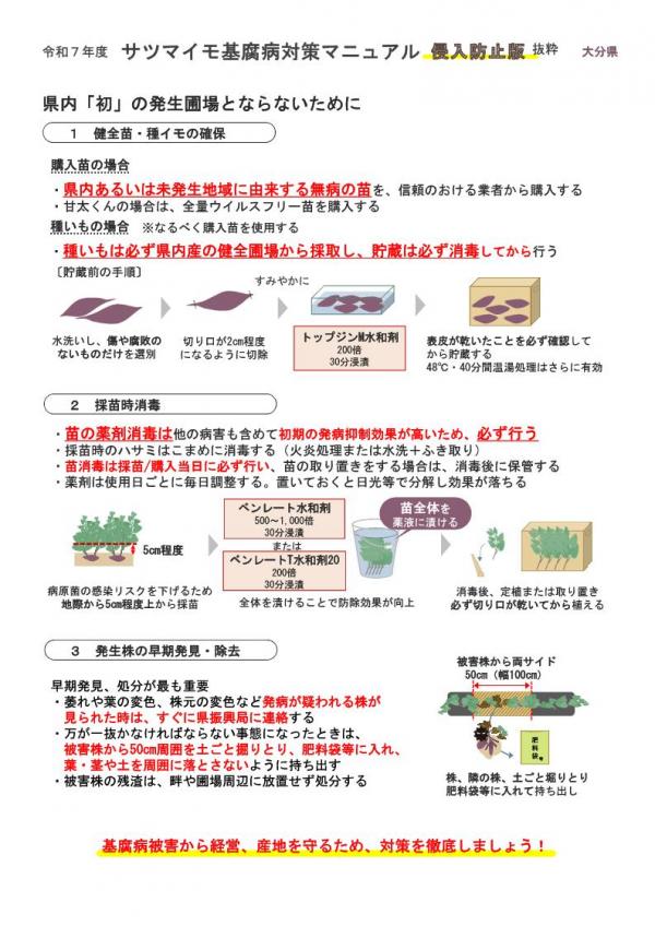 さつまいも基腐病注意喚起チラシ