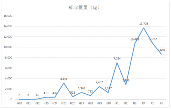 国東オリーブ総収穫量