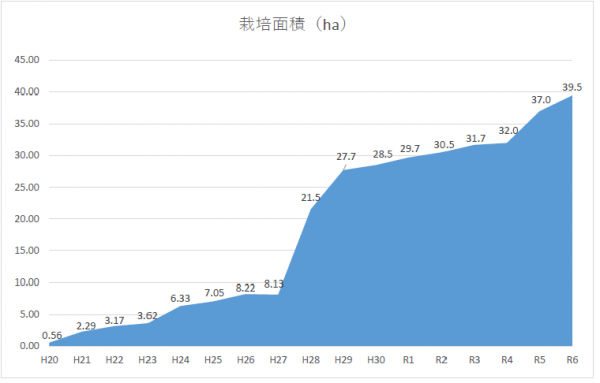 国東オリーブ栽培面積