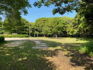 公園写真