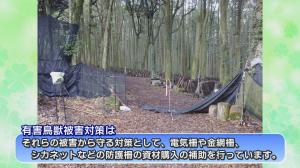 防護柵