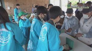 園芸フェア販売時の様子