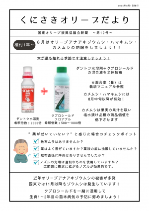 第12号くにさきオリーブだより
