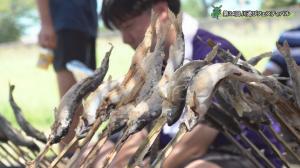 川遊びフェスティバル：鮎塩焼き
