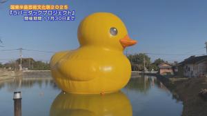 ラバーダック展示の様子