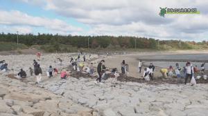 浜辺でごみ拾い