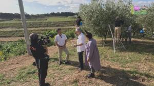 オリーブガーデンでのインタビュー