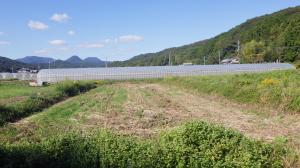 国東町富来字宮ノ後881番1