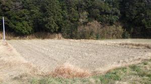 国東町小原字キリウ4446番