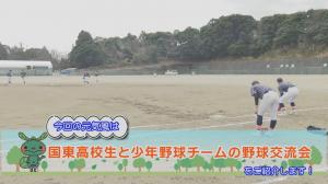 野球の試合風景