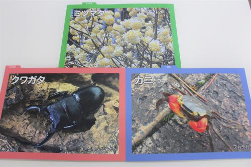 くにさき学低学年用学習カード