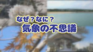 コーナータイトル画像