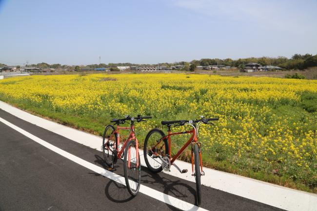 自転車の写真