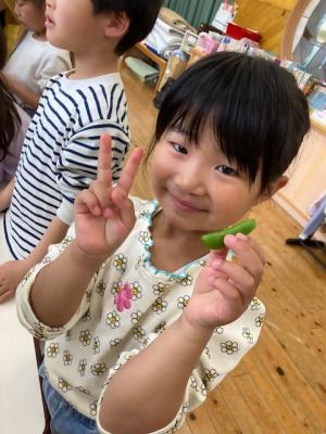 スナップえんどうのすじとりができた子ども