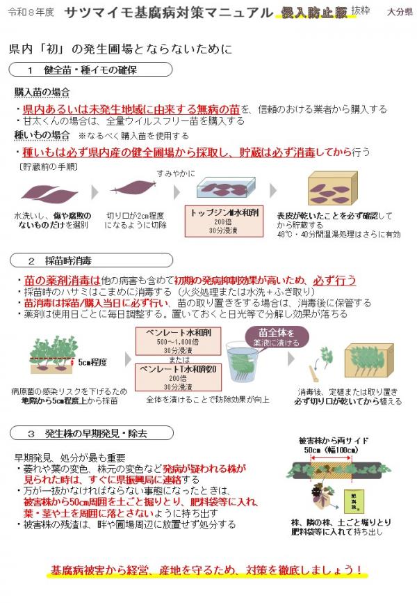 サツマイモチラシ裏面