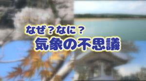 コーナータイトル画像