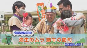 泣き相撲の様子