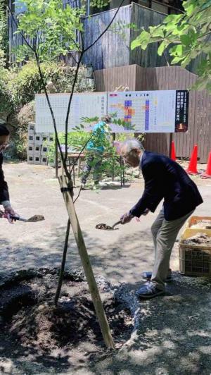 市長がスコップで土をかけて植樹をしています