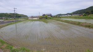 武蔵町志和利字鍛冶屋田2056番1