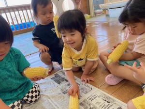 とうもろこしを触る園児