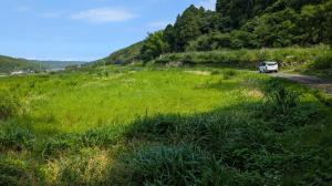 武蔵町吉広字惠良2597番及び2600番