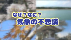 コーナータイトル画像