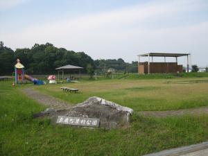 武蔵農村公園の写真１