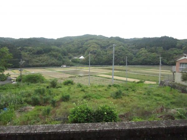 玄関からの眺め