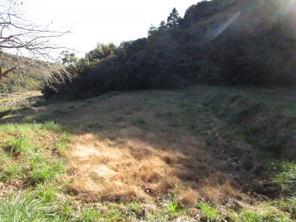 田