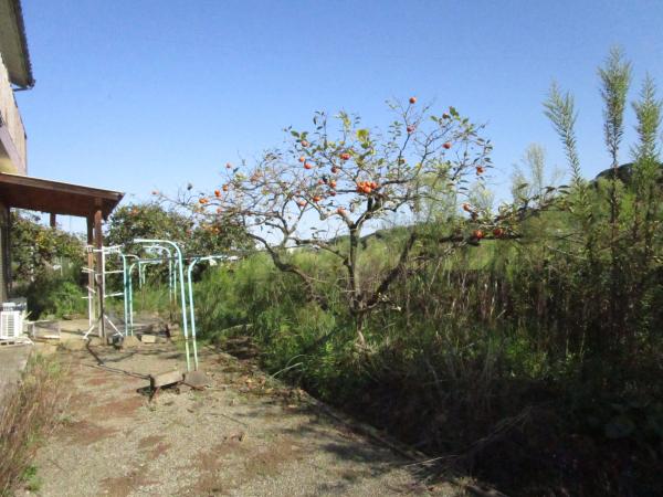 detached 大分県国東市国東町安国寺584