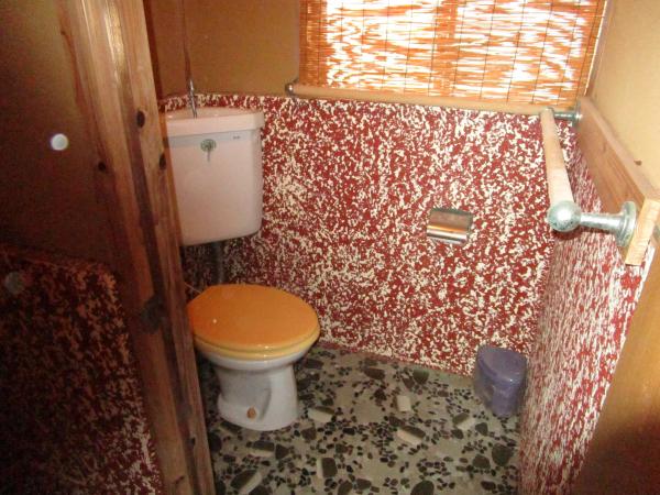 トイレ大